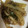 ななえ先生's cooksnap of when they made きのことセロリの中華味噌炒め.