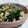 nonko55's cooksnap of when they made 和惣菜　青菜の酒いり.