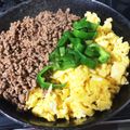 クックQ0UXKO☆'s cooksnap of when they made お弁当にも☆簡単 そぼろ丼.