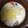 ☆みーい☆'s cooksnap of when they made 豆乳味噌スープ.
