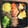 クックH1BLW1☆'s cooksnap of when they made 我が家の栗きんとん(おせち).