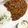mtmtmtちゃん's cooksnap of when they made 簡単トマトキーマカレー.