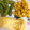 クックZ8J4H4☆'s cooksnap of when they made ３分で簡単おつまみ★ナムル風枝豆.