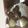 クックL026LS☆'s cooksnap of when they made 猫でもできる！？簡単 生ショコラ♡.