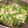 クックO9O3HE☆'s cooksnap of when they made あっさり☆チーズマカロニサラダ.