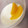 みゅく太郎's cooksnap of when they made 超簡単ヨーグルトのレアチーズ風♡.