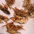 目指せ肝っ玉母さん's cooksnap of when they made きんぴらリメイク☆激うまかきあげ♡.