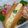 サオリ's cooksnap of when they made ☆なめらかたまごdog☆.