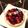 yuuyuさん's cooksnap of when they made 簡単チーズケーキ風　ヨーグルトタルト.