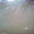 にじすき's cooksnap of when they made 塩麹の作り方.