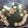 nnamin's cooksnap of when they made 豆腐とわかめの中華スープ.