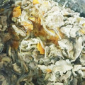 クック57VZDE☆'s cooksnap of when they made 豚バラと玉ねぎの豚丼風.