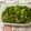 クックX6U3LJ☆'s cooksnap of when they made 超簡単！大根の葉で混ぜご飯.
