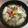 わ五助's cooksnap of when they made *具だくさん！けんちんうどん*.