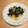 ♡りっくんママ♡'s cooksnap of when they made 豆腐とカイワレのゴマだれがけ☆.