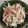 あき0304's cooksnap of when they made 鶏むね肉ともやしのスイートチリ和え.