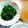 賢くんママ's cooksnap of when they made 菜の花のからし酢味噌がけ.