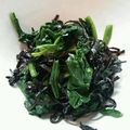 newneco's cooksnap of when they made ほうれん草ごま昆布あえ.