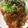 颯人雄稀ママ's cooksnap of when they made 簡単☆体に栄養のある やわらか生姜焼き.