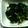 ma___111's cooksnap of when they made 冬の小鉢＠ほうれん草ともやしの海苔佃和え.
