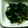 ma___111's cooksnap of when they made 冬の小鉢＠ほうれん草ともやしの海苔佃和え.
