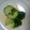 かいたまま's cooksnap of when they made 簡単！キュウリの中華風浅漬け.