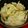 クック日和's cooksnap of when they made ストウブで白菜と豚肉の鍋.