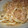 ペナっ子's cooksnap of when they made たまねぎの焼きうどん.