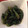 xMARILYNx's cooksnap of when they made ＊ほうれん草のごま和え＊.