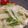 momonga222's cooksnap of when they made 3分で★大根と水菜のシャキシャキサラダ.