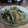 サーフブレイド's cooksnap of when they made 簡単1品♪水菜とツナ缶の炒め物.