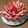 りーりー❇'s cooksnap of when they made 子供の誕生日ケーキ.