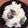 チョ助's cooksnap of when they made 簡単！上品味の牡蠣ご飯.