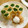 しのばぁたん's cooksnap of when they made 油揚げ巻き☆ほうれん草のお浸し.