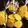 クックUA7F1W☆'s cooksnap of when they made 乳幼児にも安心のかぼちゃクッキー.