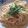 りるみな's cooksnap of when they made ＊クリーミー明太子パスタ＊.