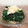 naomig's cooksnap of when they made ほうれん草のおひたし.