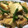 クックHK0GBR☆'s cooksnap of when they made 厚揚げの鶏そぼろ煮。.