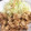 リキ大好き's cooksnap of when they made タレが旨くてすいません！豚の照り焼き.