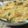 ぱるママぱたこ's cooksnap of when they made マカロニグラタン.