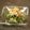 ぽっぽぺぺ's cooksnap of when they made 簡単お惣菜♪オクラのごま和え.
