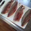 せっちょって。's cooksnap of when they made 魚ののさばきかた☆初めてでもできる！.