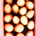 かずさりこ's cooksnap of when they made おうちで簡単！うずらの煮玉子.