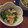 ルリナ's cooksnap of when they made オクラとミョウガで☆簡単一品.