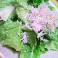 鬼嫁ちーちゃん's cooksnap of when they made ふりふりしらすとレタスのサラダ.