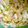 クックD6E6TE☆'s cooksnap of when they made ムネ肉とキャベツの和え物.