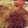ルリナ's cooksnap of when they made ぷちぷちソースの♪ポークピカタ.