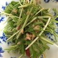 ☆みーい☆'s cooksnap of when they made マヨごま＊水菜とツナのサラダ.