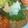 e8happy's cooksnap of when they made 卵つかわない　ヘルシー豆腐ハンバーグ.