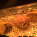 yuou＊'s cooksnap of when they made 鶏ささみの油揚げ巻き☆お弁当おかず.